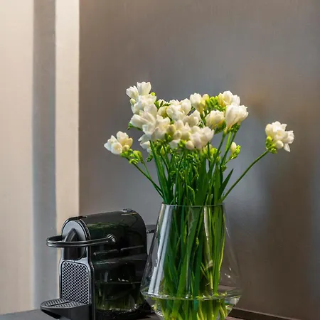 Appartement San Marco View Terrace R&r